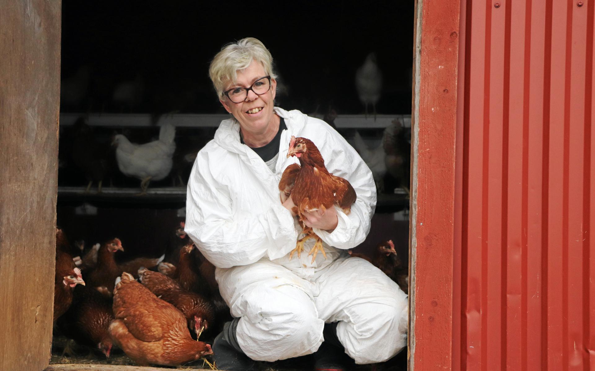 Maria Arnesson driver Björröds Ägg i Kode. På grund av ökad risk för fågelinfluensa skärps smittskyddet. Bilden är tagen i ett annat sammanhang.