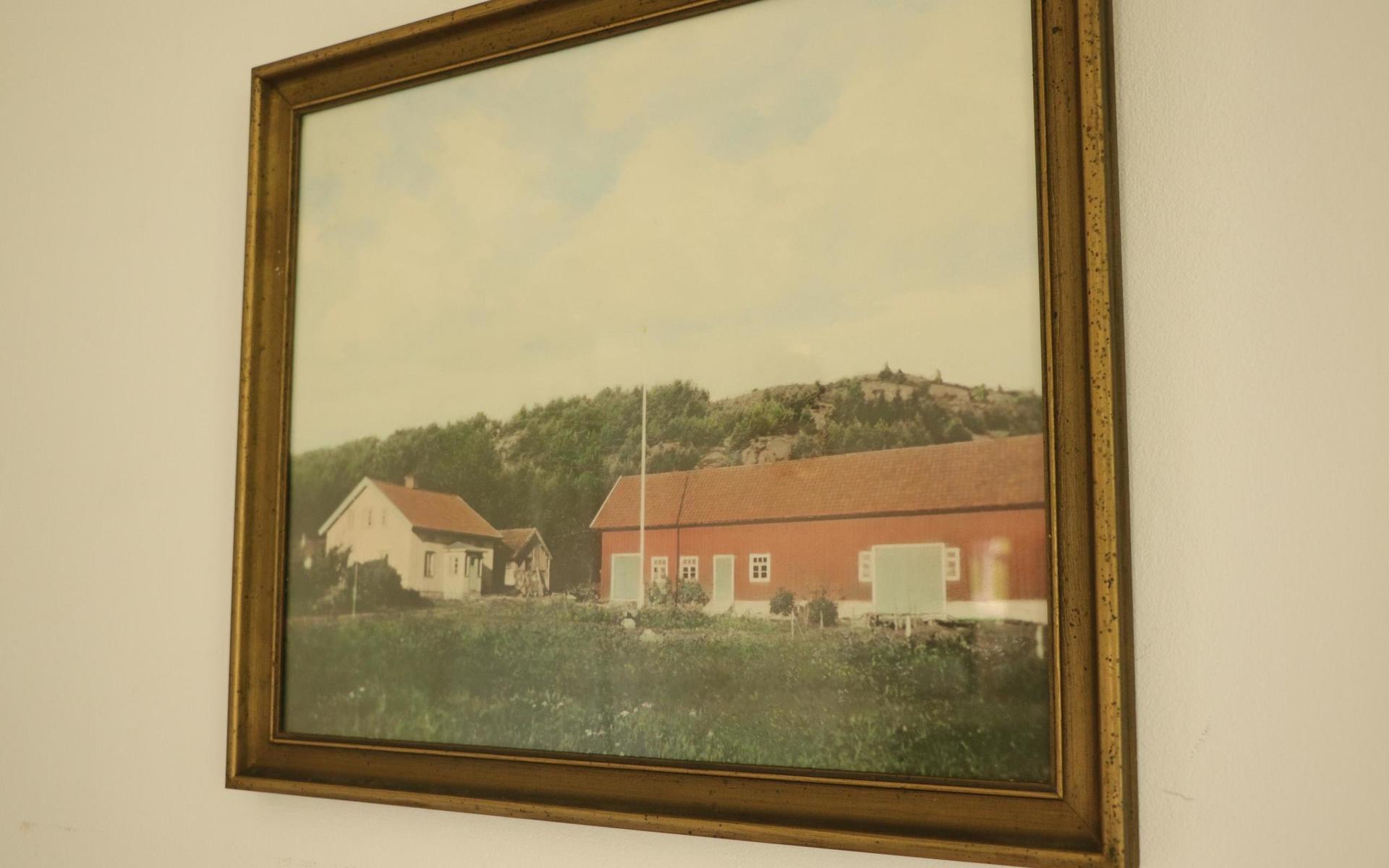 På väggen i vardagsrummet hänger ett gammalt foto som visar hur gården såg ut en gång. 