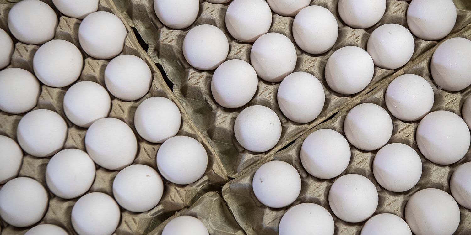 Flera ägg återkallas från Ica och Coop efter att salmonella upptäckts hos leverantören.