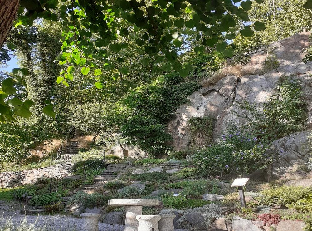 ”Bergfeltska trädgården i augusti 2020. Ett vacker bild där sol och skuggor spelar tillsammans med vackra kulörer”.