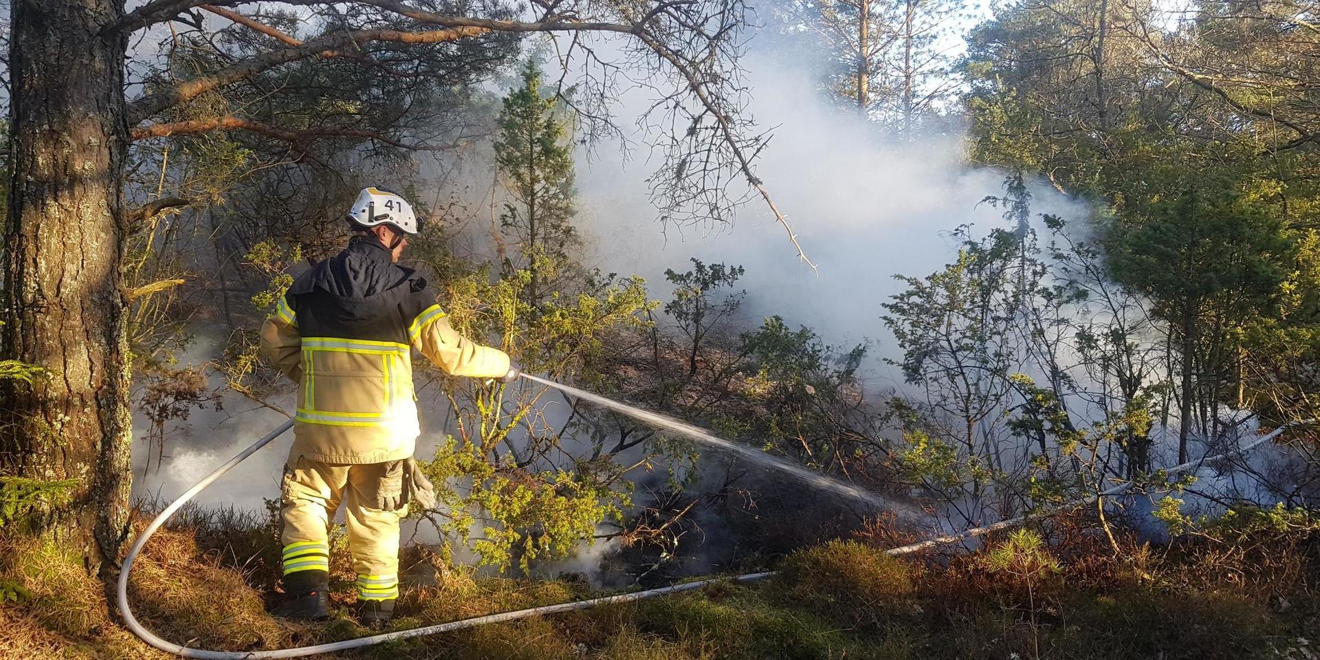 Räddningstjänsten fick rycka ut till Kode där det brann i terrängen. 