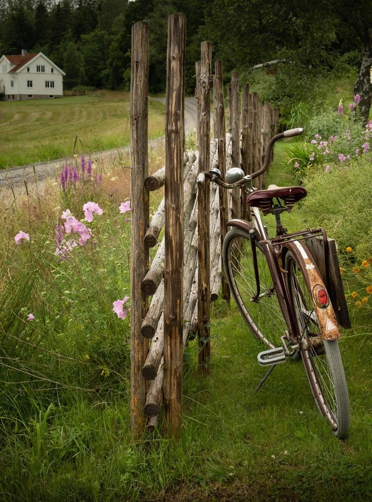 Sommarbild från Romelanda 11/7. Gick förbi den här cykeln när jag och pudlingen utforskade en ny promenadrunda runt Romesjön. Mitt tack till de som gjort staketet, planterat blommorna och ställt cykeln där! Färdigt att fånga på bild.Bild: Hillevi Upmanis