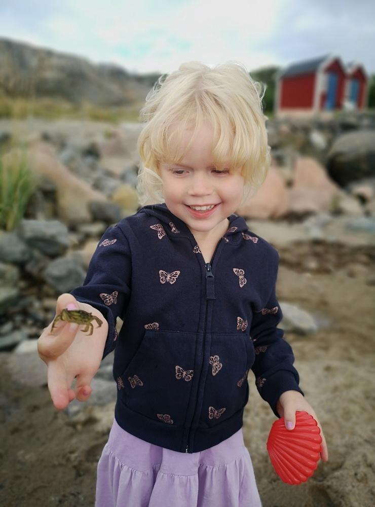 En stolt Jonelia 4 år som håller i sin egenfångade lilla krabba. I Aröd, Kode, den 7 augusti. Bild: Anna Soovik