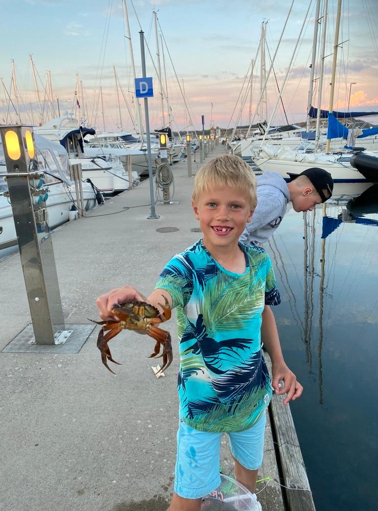 Kvällsfiske i Marstrands gästhamn, lördagen den 3 juli. August visar stolt upp en stor krabba och storebror Osvald spanar efter fler i bakgrunden. Bild: mamma Jenny Melin. 