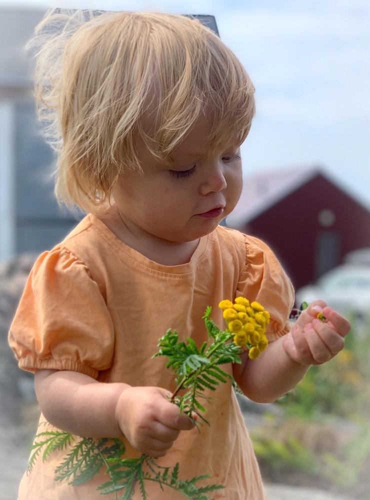 Lilla Leah älskar blommor, bilden är tagen alldeles nyligen i farmor och farfars trädgård på Lilla Fjellsholmen.Bild: Marika Hofvenschiöld