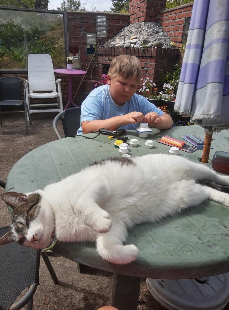 Noah Nielsen pysslar med mjölkkorkar och katten Maja hjälper till. Sundhammar juli. Bild: Lisbeth Nielsen