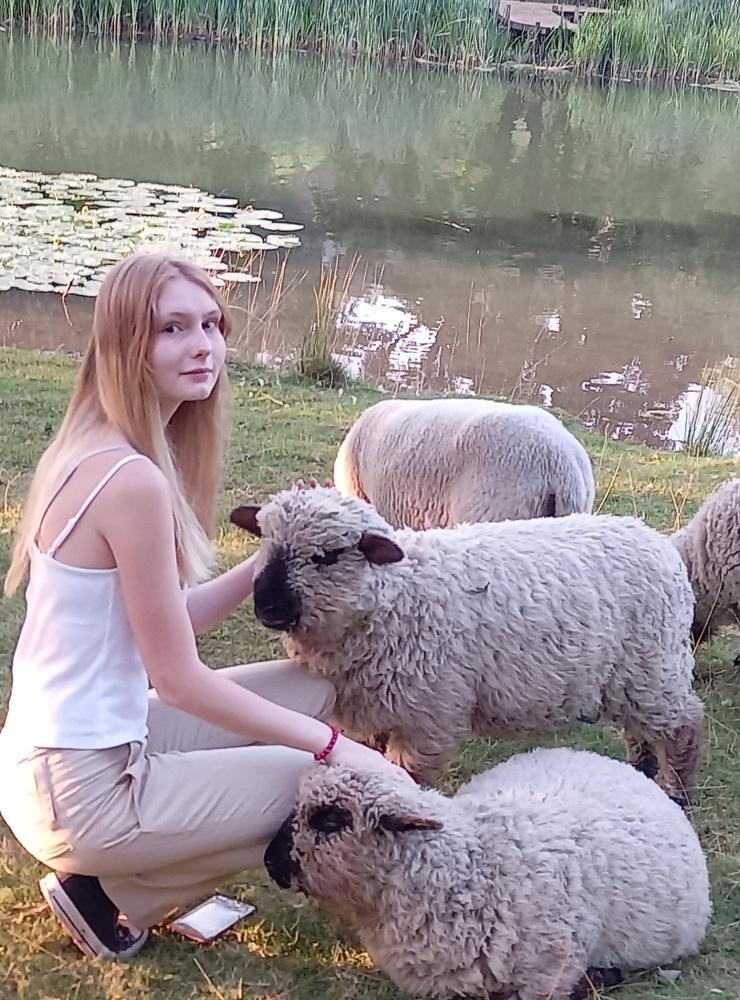 Wilma Johansson sitter och klappar dom söta fåren. Fåren verkar gilla Wilma. Bild: Gullgärd Johansson