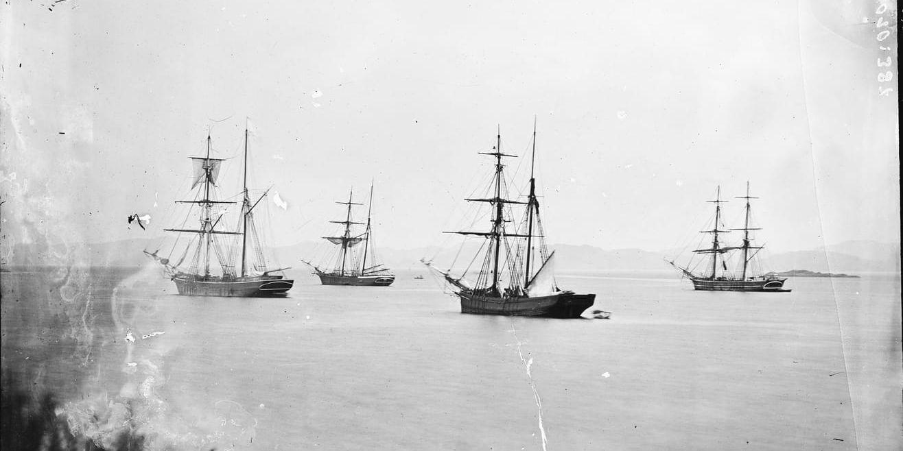 Segelfartyg utanför Lysekil sent 1800-tal.