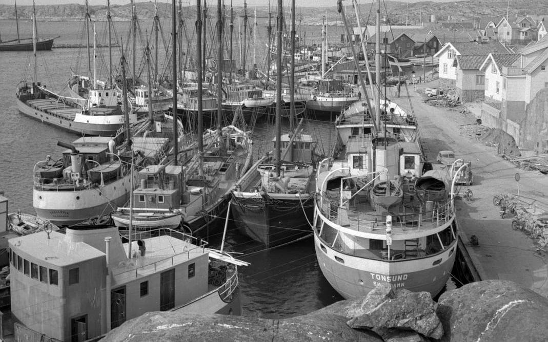 Trängsel i Skärhamn i början av april 1960. Förändringen gick snabbt inom kustsjöfarten i slutet av 1950-talet och början av 1960-talet. De gamla motorseglarna fasades ut. Året 1960 växte kustflottan med i genomsnitt nästan tre fartyg i månaden. De flesta var secondhandfartyg från utländska hamnar och av dessa kom med den absoluta majoriteten – 19 stycken – från Holland. Precis som när engelska fiskemacks kring sekelskiftet 1900 förvandlades till svenska fiskekuttrar behölls ganska ofta fartygens gamla namn. Sålunda kompletterades den svenska kustsjöfarten under dessa år med fartygsnamn som ”Pionier” och ”Breezand”. Men fartyget ”Toni”, som byggts i av varvet E J Smit & Zoon Schps i Westerbroek och sedan varit hemmahörande i den holländska hamnstaden Defzilj, fick ett svenskt namn när hon i mars 1960 överfördes till Skärhamns flotta.