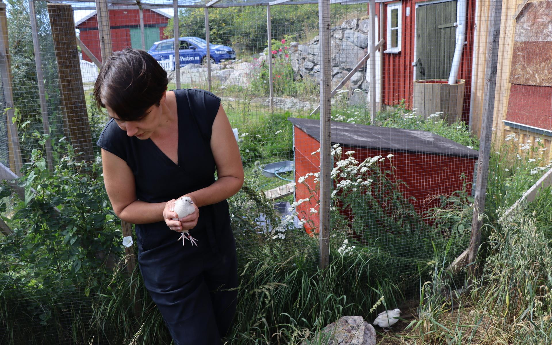 Emilie Kjellberg driver en hobbyverksamhet med produktion av vaktelägg. Hon planerar för det värsta och hoppas på det bästa när det gäller nya utbrott av fågelinfluensa.