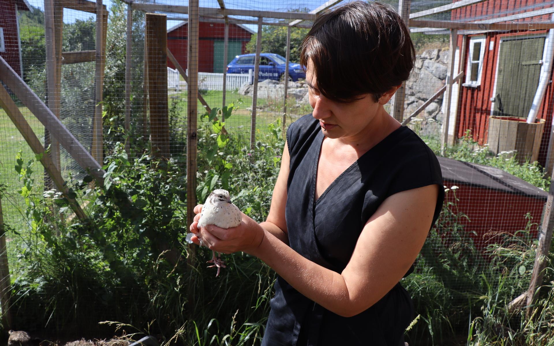 Emilie Kjellberg har varit äggproducent sedan 2018. Oron för utbrott av fågelinfluensa är ständigt ett orosmoln.