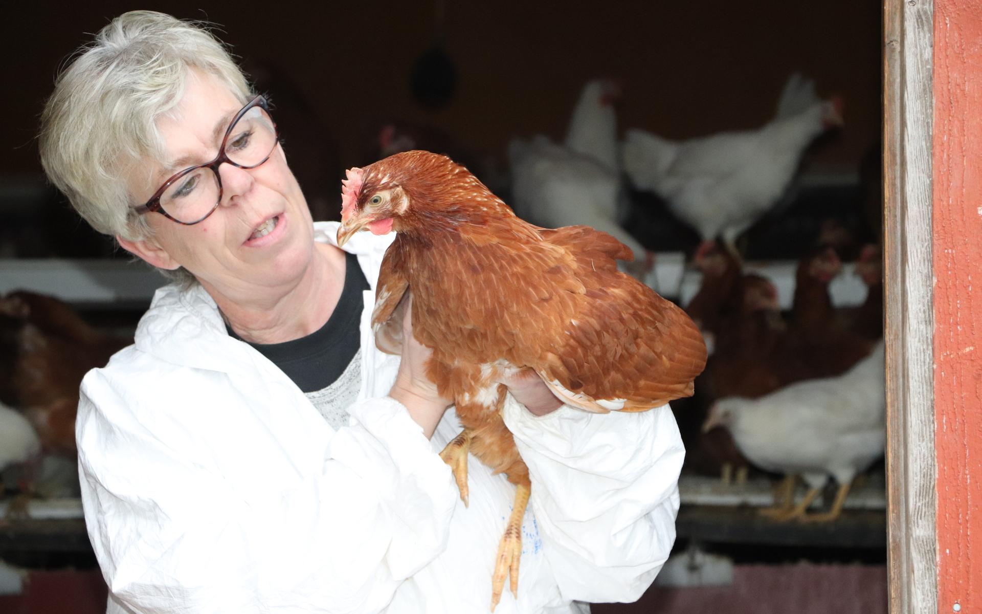 Maria Johansson på Björröds ägg är orolig för nya utbrott av fågelinfluensa.