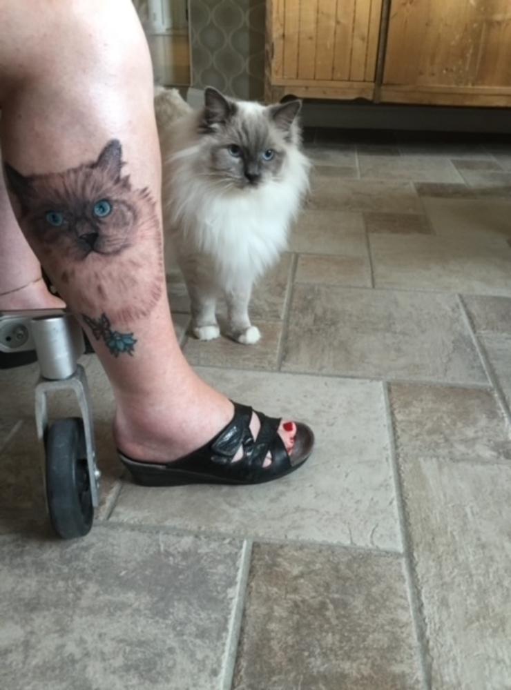 ”Jag ville ha en tatuering på min älskade katt Odis, så att han är med mig hela tiden”, skriver Alice Eriksson.